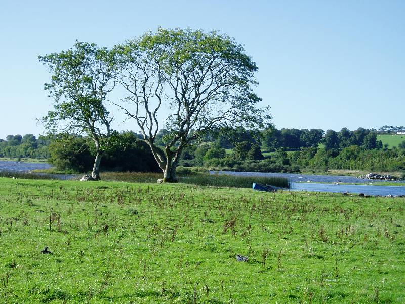 060Rindoon 
