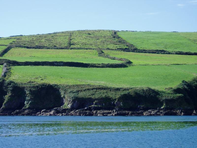 120Dingle 