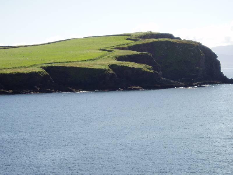 123Dingle 