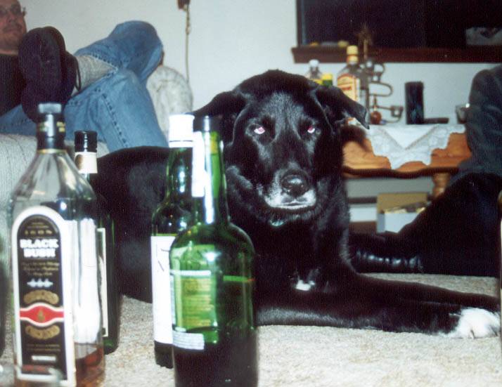 07ZoeDrinks 